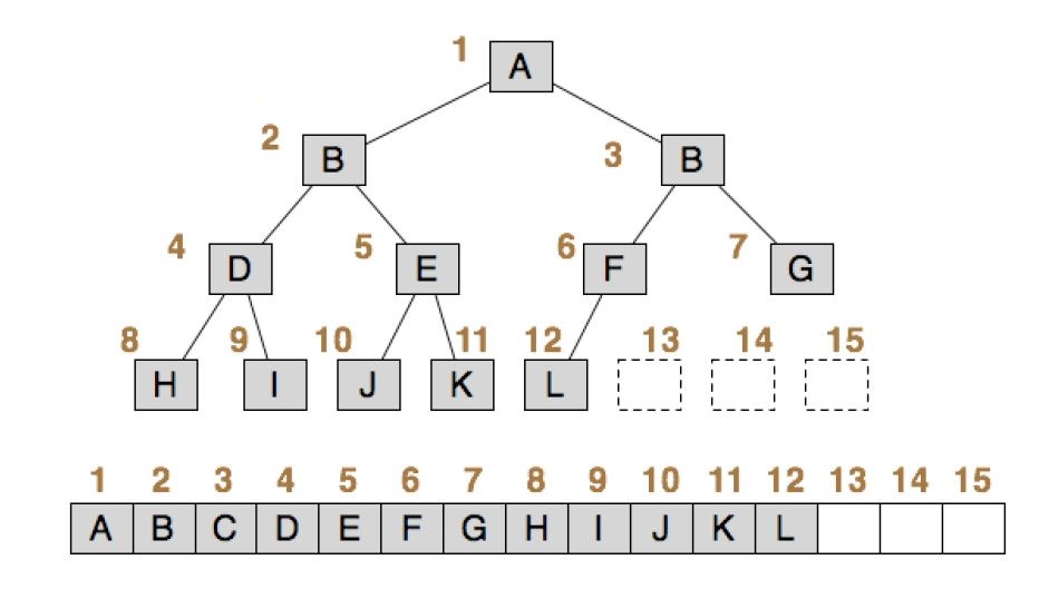 Binary Tree - Coders Helpline