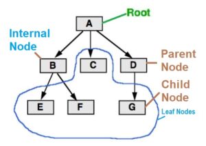 Typical Tree Structure : Coders Helpline